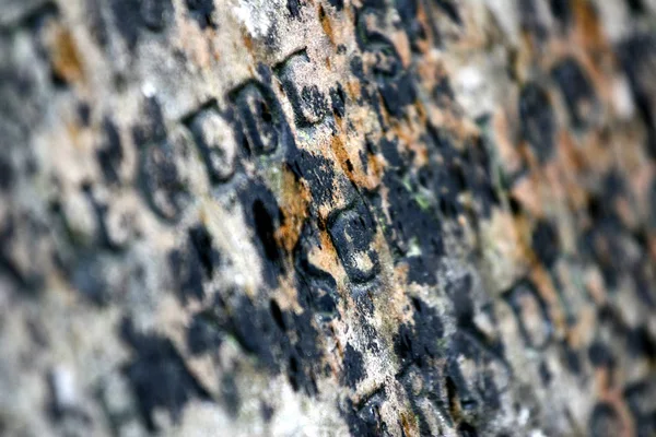 细节在 Hoersholm 丹麦的森林中的墓碑关闭 — 图库照片