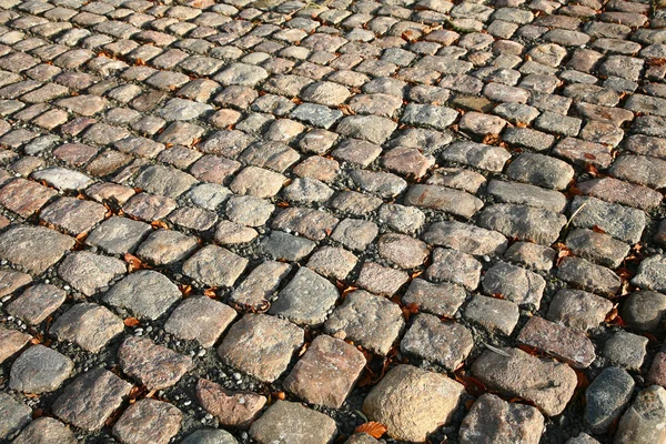 Cobble Stones Pavement Noth Seeland Denmark — Stock Photo, Image
