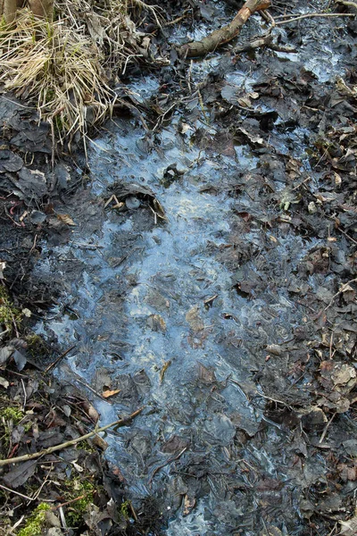 デンマークの池に停滞しカラフルな水の上を表示します — ストック写真