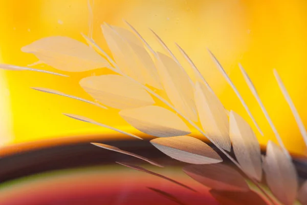 Detail Close Van Een Glas Met Rode Wijn Bubbels — Stockfoto