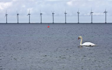 Oeresund Offshore Rüzgar enerjisi chanel Copenhagen 2008