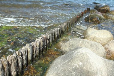 Sahil detay ve su Danimarka İskandinavya