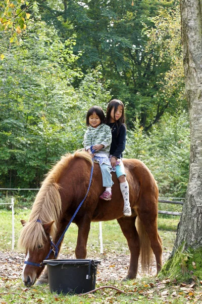 Zwei Mädchen Reiten Pferd — Stockfoto