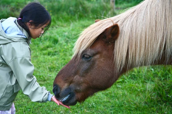 Mignonne Fille Avec Cheval Plein Air — Photo