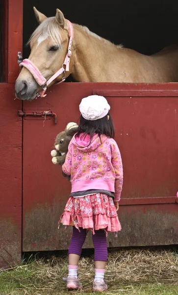 Carino Bambino Guardando Cavallo — Foto Stock