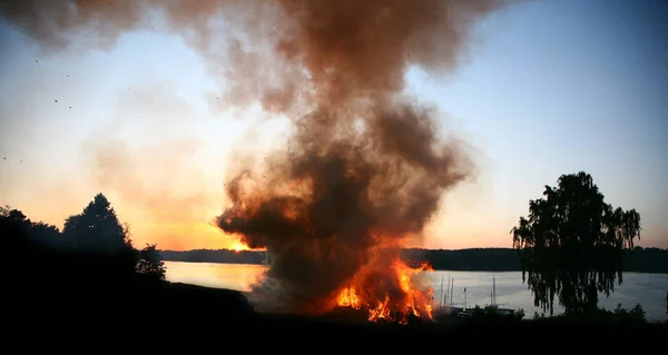 Fuego Controlado Árboles Ramas —  Fotos de Stock