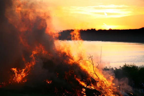 Controlled fire of trees and branches