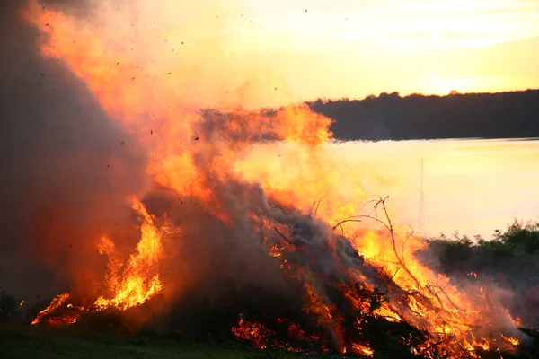 Kontrolliertes Feuer Von Bäumen Und Ästen — Stockfoto