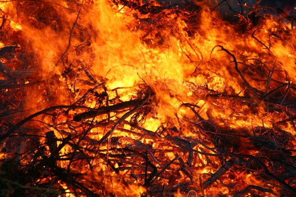 Controlled fire of trees and branches