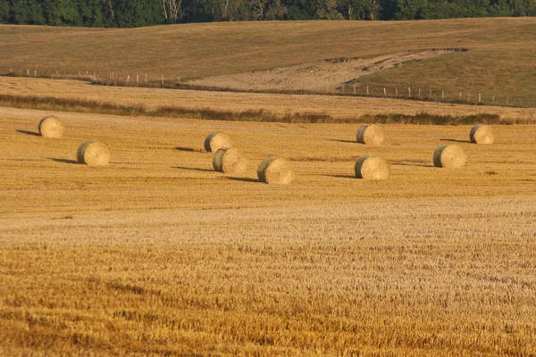 Campo Com Feno Suécia — Fotografia de Stock