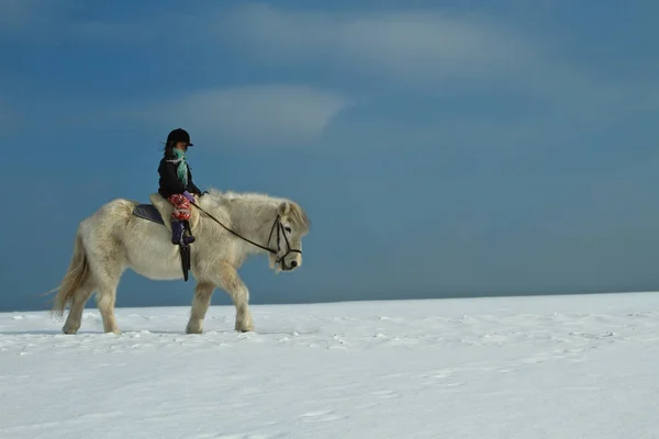 Menina Equitação Neve — Fotografia de Stock