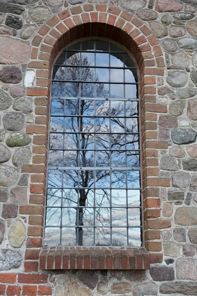 Reflejo Del Árbol Una Ventana — Foto de Stock