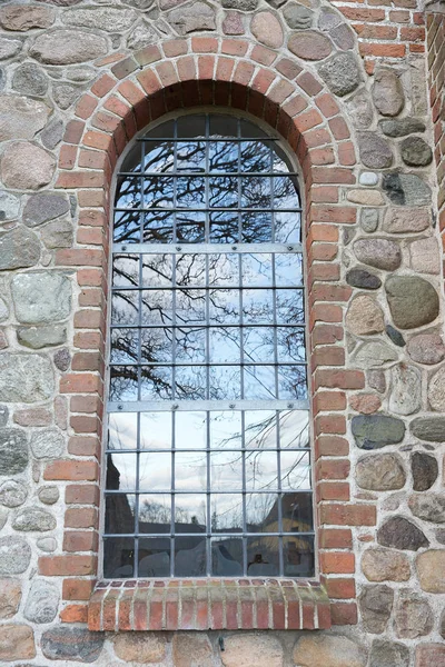 Reflet Arbre Dans Une Fenêtre Image En Vente