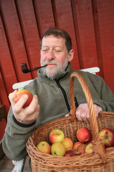 Ώριμη Σκανδιναβός Άνθρωπος Μήλο — Φωτογραφία Αρχείου
