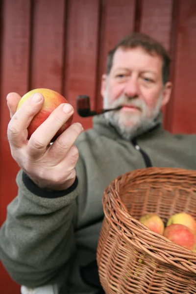 Dojrzały Skandynawski Człowiek Jabłko — Zdjęcie stockowe