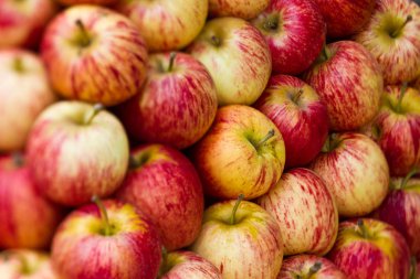 Kuala Lumpur China town elma ile Pazar