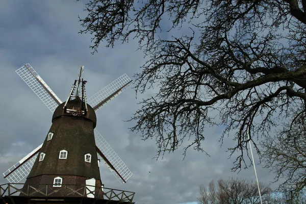Хёрсхольм Дания Старая Ветряная Мельница — стоковое фото