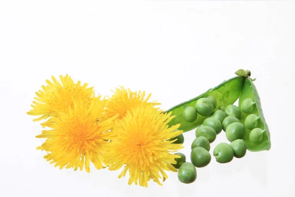 Varios Guisantes Aislados Sobre Fondo Blanco Flores — Foto de Stock