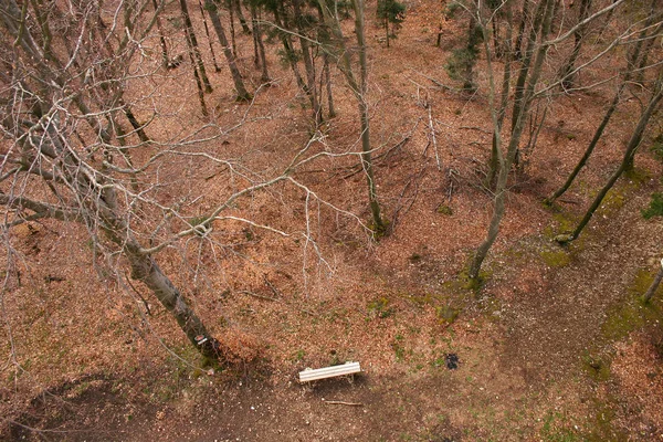 Vackra Höst Skogen Danmark — Stockfoto