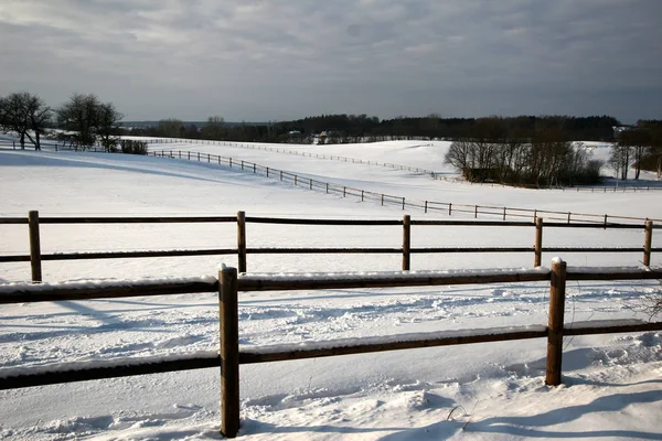 Nature Hiver Sous Neige Danemark — Photo