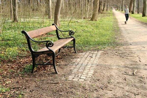 화창한 외로움 사람들과 덴마크에서 — 스톡 사진