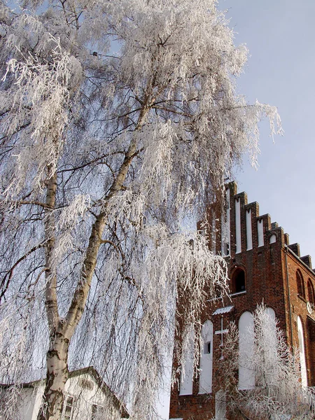 Igreja Denmark Dia Ensolarado Inverno Com Uma Árvore Congelada Primeiro — Fotografia de Stock