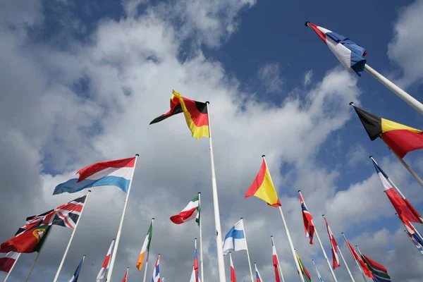 Европейские Флаги Ветру Солнце Серым Небом — стоковое фото