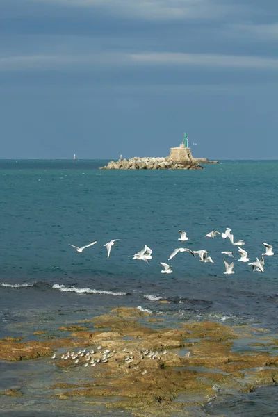 Terrazza Mascagni Belvedere Felé Tenger Livorno Olaszország — Stock Fotó