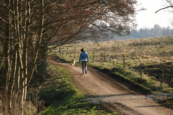 Девушка Выгуливает Собаку Парке Дании Весной — стоковое фото