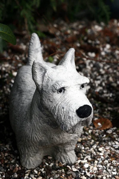 Danimarka Bir Mezarlıkta Köpek Heykeli — Stok fotoğraf