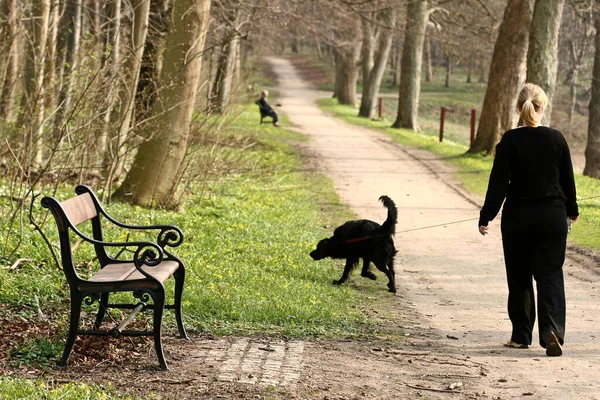 Girl Walking Dog Park Denmark Spring — Stock Photo, Image