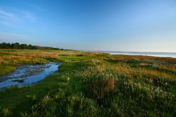 Casaco Denmark Djursland Verão — Fotografia de Stock