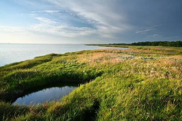 Kabát Denmarku Djursland Létě — Stock fotografie