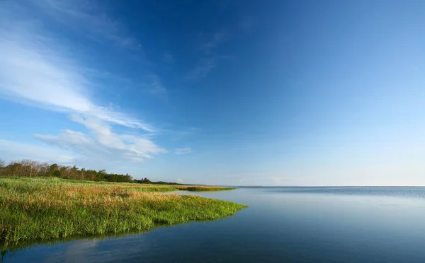 Jas Denemarken Djursland Zomer — Stockfoto