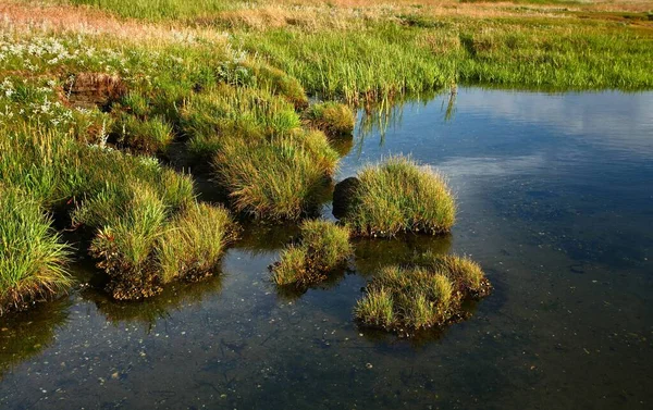 Jas Denemarken Djursland Zomer — Stockfoto