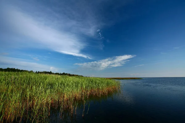 Kabát Denmark Djursland Nyáron — Stock Fotó