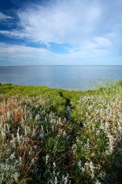 Mantel Dänischen Djursland Sommer — Stockfoto