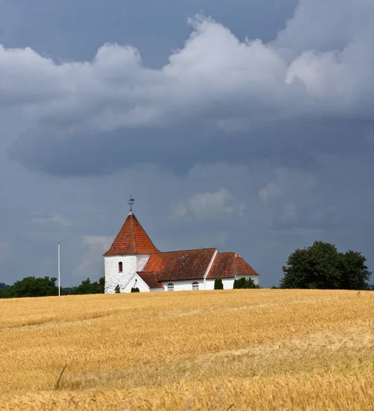 Danimarka Djursland Kilisesi Yazın — Stok fotoğraf