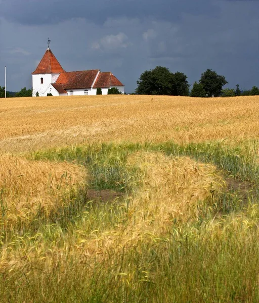 Iglesia Denmark Djursland Verano —  Fotos de Stock