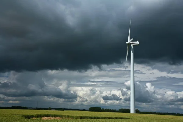 Wind Mills Denmark Djursland Summer — Stock Photo, Image