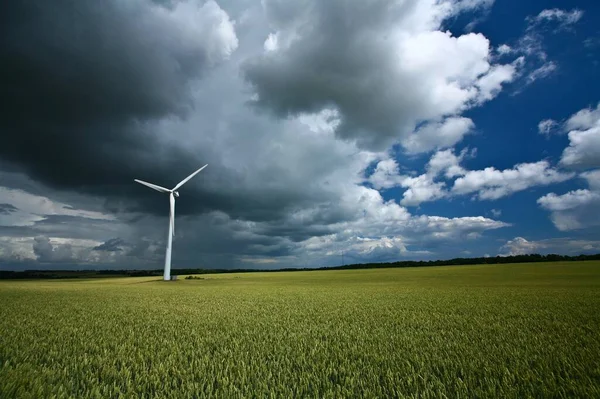 Windmühlen Dänemark Sommer — Stockfoto