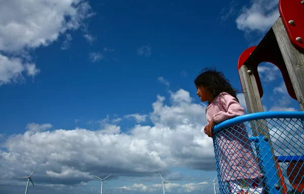 Wind Mills Denmark Djursland Summer — Stock Photo, Image