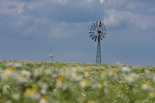 Wind Mills Denmark Djursland Summer — Stock Photo, Image