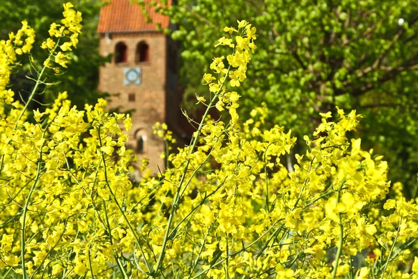 Fotos Una Iglesia Tradicional Dinamarca Escandinavia Primavera — Foto de Stock