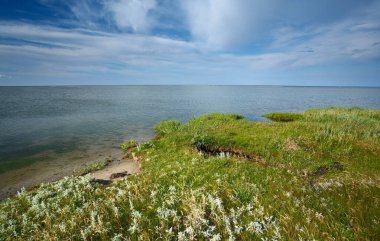 Danimarka Djursland 'da yazın palto