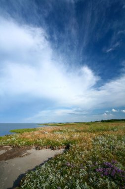 Danimarka Djursland 'da yazın palto