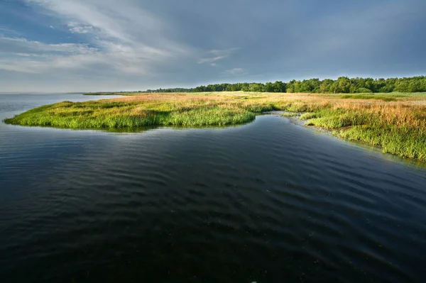 Kabát Denmarku Djursland Létě — Stock fotografie