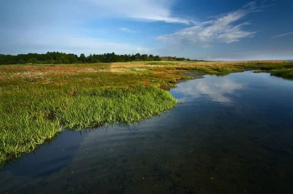 Kabát Denmarku Djursland Létě — Stock fotografie