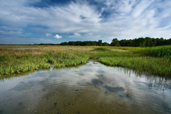 Kabát Denmarku Djursland Létě — Stock fotografie