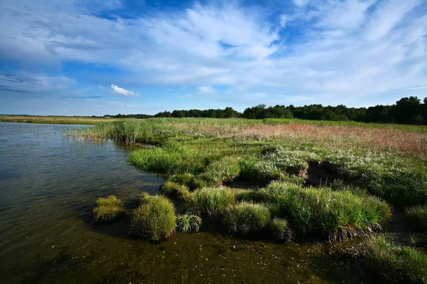 Jas Denemarken Djursland Zomer — Stockfoto